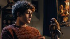 poster-24679-mcvitie-s-jaffa-cakes-tarsier-236x132