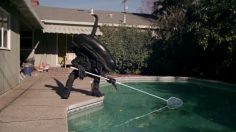 poster-24708-facebook-we-are-not-alone-236x132