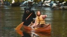 poster-24717-dr-pepper-dr-pepper-ten-bold-country-236x132