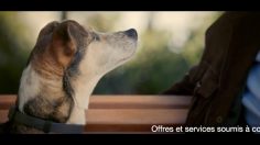 poster-24720-credit-mutuel-toby-parc-236x132