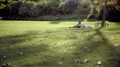 poster-24727-queensland-government-protection-solaire-sun-mum-and-the-mobility-scooter-236x132