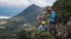 poster-24752-volkswagen-tiguan-rope-236x132