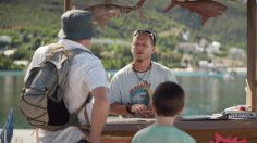 poster-24753-volkswagen-polo-shark-cage-236x132