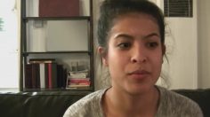 poster-24761-dove-patches-236x132