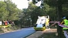 poster-24811-greenpeace-protection-environnement-trees-save-lives-236x132