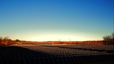 poster-24878-apple-better-236x132