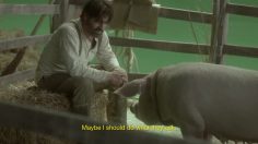 poster-24879-chicago-latino-film-festival-swine-love-236x132