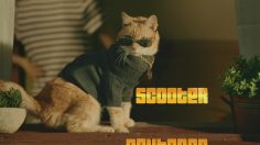 poster-24904-givethemten-org-scooter-the-neutered-cat-236x132