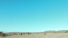 poster-24940-facebook-trip-236x132