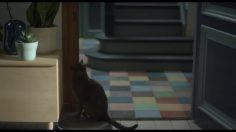 poster-24951-thalys-discover-europe-through-the-eyes-of-a-cat-236x132