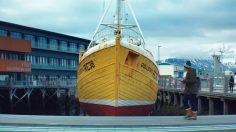 poster-24980-apple-ipad-cherie-s-verse-236x132