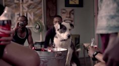 poster-24994-coca-cola-share-a-coke-with-bobby-236x132