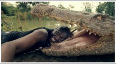 poster-25003-huawei-honor-3c-selfie-mania-236x132