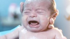 poster-25023-coca-cola-la-copa-de-todos-236x132