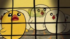 poster-25026-peta-protection-animaux-someday-236x132