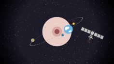 poster-25036-pornhub-anti-cancer-du-sein-titcoins-236x132