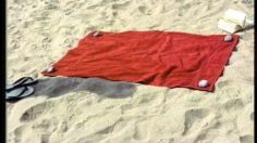 poster-2505-audi-quattro-la-vie-en-quatre-236x132