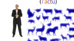 poster-25070-l-actu-2008-09-22-236x132