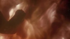 poster-25120-young-director-award-birth-236x132