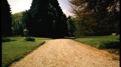 poster-2516-citroen-c8-les-clowns-236x132