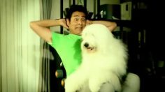 poster-25160-wonder-core-ab-training-en-arriere-les-abdos-236x132