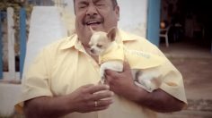 poster-25178-t-mobile-travel-surf-jose-s-wi-fi-dogs-236x132