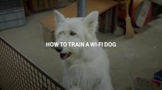 poster-25179-t-mobile-travel-surf-how-to-train-a-wi-fi-dog-236x132