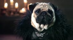 poster-25209-blinkbox-the-pugs-of-westeros-236x132