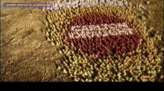 poster-25268-la-journee-mondiale-de-la-population-2014-07-11-236x132