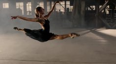 poster-25377-red-bull-grace-236x132