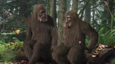 poster-25395-colorado-lottery-powerball-big-foot-236x132