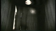 poster-2544-festival-internazionale-della-nuova-danza-short-formats-vers-de-terre-236x132