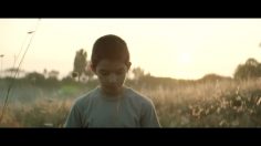 poster-25442-wind-papa-236x132