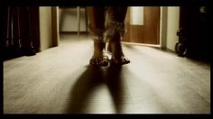 poster-2545-mtv3-battery-vibromasseur-236x132