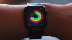 poster-25467-apple-apple-watch-health-and-fitness-236x132