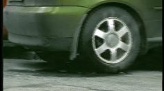 poster-2549-zoo-praha-dog-236x132