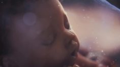 poster-25510-cadbury-dairy-milk-chocolate-triplets-236x132