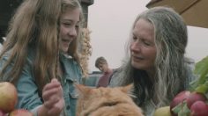 poster-25513-subaru-outback-memory-lane-236x132