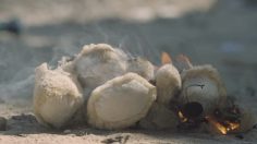 poster-25514-act-now-contre-la-guerre-en-syrie-in-reverse-236x132