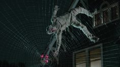 poster-25547-skittles-web-236x132