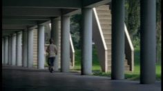 poster-2555-calve-pindakaas-beurre-de-cacahuetes-le-ballon-de-foot-236x132