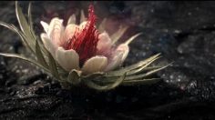 poster-25569-volvic-la-force-du-volcan-236x132