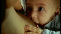 poster-25570-mtv-latin-america-le-bebe-236x132