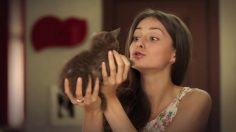 poster-25582-nestle-milk-chocolate-kitten-236x132