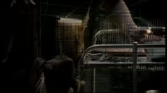 poster-2561-remixx-cage-aux-lions-236x132