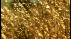 poster-2589-cts-youth-and-student-travel-center-masai-236x132