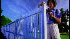 poster-2597-hornbach-scarabee-236x132