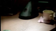 poster-2625-connex-chip-chip-236x132