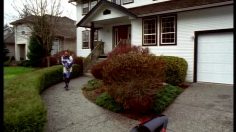 poster-2659-suzuki-gsx-r-1000-le-motard-et-le-chien-236x132