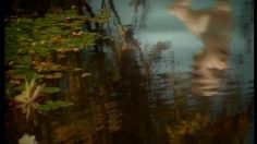 poster-2661-nurofen-miles-of-smiles-236x132